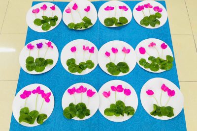 TẠO HÌNH “HỒ SEN CỦA BÁC” – LỚP 5TA