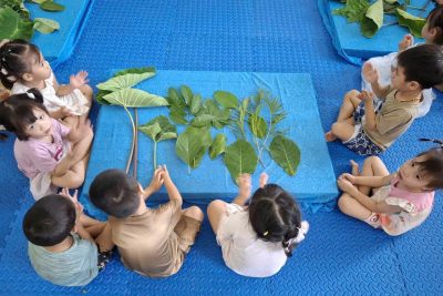 HOẠT ĐỘNG PHÁT TRIỂN NHẬN THỨC: GỌI TÊN CÁC LOẠI LÁ – LỚP 3T